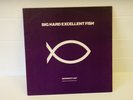Big Hard Excellent Fish, Imperfect List, 12