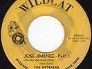 TX Jazz R&B Instrumental Noir THE WETBACKS Jose Jimenez 45 Wildcat HEAR