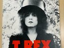 T. Rex - The Slider Vinyl LP 1st Pressing Solid Gold is Gold MARK ILPA-1U *VG+*