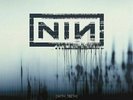 With Teeth [PA] by Nine Inch Nails (Vinyl, May-2005, Universal Distribution)