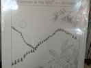 Psych Rock LP Rare SEALED Harmonym 