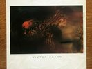 COCTEAU TWINS - VICTORIALAND - FIRST PRESSING - VINYL Record, LP, ALBUM-UK-1986