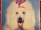 The Fabulous Poodles - Self Titled vinyl lp