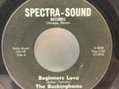 The Buckinghams - Beginners Love /  Sweets For 45 RPM - Tested VG - Specta Sound