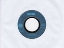 MAGNA CARTA Summer song / Elizabethan 7