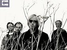 Tom Petty & Heartbreakers ECHO 2 LP Set NEW Remaster from Orig Analog Swingin