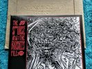SIOUXSIE AND THE BANSHEES FILE Fan Club 7 Inch Limited Edition