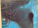 Pink Floyd  Meddle (1971 Green label LP) EMI 1C062-04 917 ; German Import; M-/VG