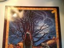 Mercyful Fate ?– In The Shadows 1993 Vinyl Record Schallplatte