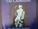 The Chameleons ?– Up The Down Escalator - record vinyl