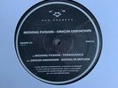Moving Fusion - Turbulence / Origin Unknown - Sound In Motion 12” Vinyl Ram D&B