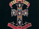 Appetite for Destruction by Guns N' Roses (Vinyl, Nov-2008, Universal Distribut…