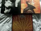 SELECTION OF 19 VINYLS ALBUMS & 2 BOX SETS - ROCK / PROG - INDIVIDUALLY GRADED