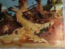 TOE FAT --Two Sealed LP Orig Heavy Psych
