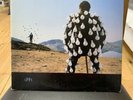 pink floyd delicate sound of thunder Vinyl