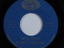 Garage Surf 45 DANNY'S REASONS Little Diane IRC VG++/VG+ HEAR