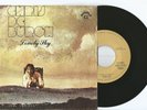 CHRIS DE BURGH  ‎– LONELY SKY  7