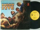 COUNT FIVE Psychotic Reaction LP ACID FUZZ PSYCH ROCK  DOUBLE SHOT DSS 5001