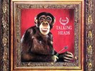 TALKING HEADS 