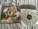Disastrous Murmur - Rhapsodies in Red LP vinyl grey near mint  pungent stench