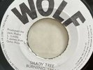 BURNING SPEAR Resting Place Shady Tree WOLF JA 1975 Jack Ruby Vinyl EX