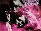 Katatonia - Dance Of December Souls (NEW VINYL LP)