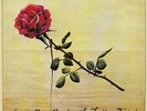 LARRY ROSE BAND - The Jupiter Effect - Vinyl (LP + insert)