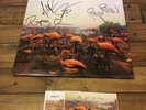The Get Up Kids Problems Signed Autograph Vinyl Lp Record Baby Blue W/ Download