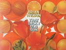Brian Wilson - That Lucky Old Sun - LP - Us Press