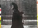 Neil Young After The Gold Rush LP