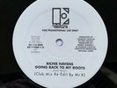 Richie Havens Going Back To My Roots 12” Re-edit Promo AS-11460-1 US 2005