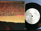 SONIC YOUTH DEATH VALLEY 69 NM- 1984 1st PRESS 7' SINGLE BOB BERT SIGNED SLEEVE