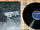 PINK FLOYD PROGRESSIVE ROCK  LP