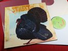 Wild Turkey  TURKEY  -  LP Chrysalis 6307509 Germany 1972 sehr gut