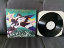 Big Star - Sister Lovers (The Third Album) POP ROCK UK 87 VINYL DOJO LP 55 MINT