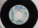 HONEY AND THE BEES Why Do You Hurt One Who Loves You / Go Now  ARCTIC 141