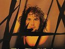 John Martyn - Bless The Weather - ID99z - vinyl LP - New