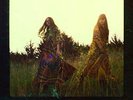 First Aid Kit - Lion's Roar - LP - New