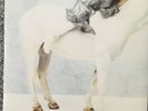 TORI AMOS Winter 7