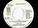Funk Boogie Rap 45 - Just Us - The Hall Of Just Us - Golden Shield - VG++ mp3