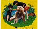 THE SLITS – TYPICAL GIRLS – 1979 ANTILLES VINYL – POSTER SLEEVE - UK PUNK