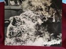 Rage Against the Machine [LP] by Rage Against the Machine (Vinyl, Aug-2015, Son…