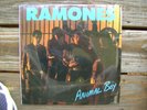 Vintage Ramones Animal Boy LP Original Sire Pressing  SEALED  Wow