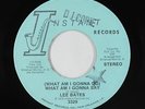70s Soul 45 - Lee Bates - What Am I Gonna Say - Instant - mp3