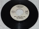 The REMAINS But I Ain't Got You / I Can't Get Away From You EPIC 45 rpm S-9872
