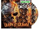The Dead Daisies -  Burn It Down LP Picture Disc Vinyl Limited Edition NEW