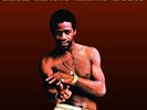 Al Green Greatest Hits limited edition 180gm vinyl LP +download NEW/SEALED