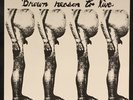 Butthole Surfers / Brown Reason To Live / Original EX Red Wax Vinyl / Ltd / 1983