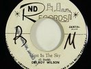 Delroy Wilson/Skatalites 