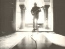 NEIL YOUNG-LP- LE NOISE- FOC- MINT